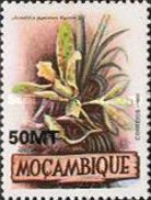 1994-Mozambique-1317.jpg