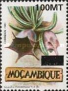 1994-Mozambique-1318.jpg