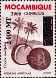 1994-Mozambique-1320.jpg