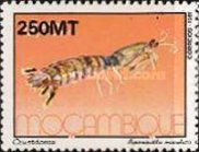 1994-Mozambique-1321.jpg