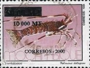 1999-mozambique-1578